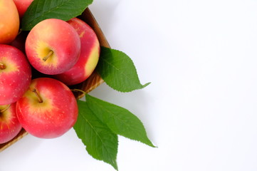 New Zealand apple on white background