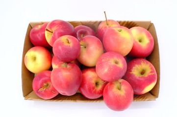 New Zealand apple on white background
