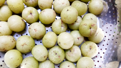 Indian gooseberry, fruit has medicinal properties.
