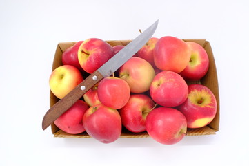 New Zealand apple on white background