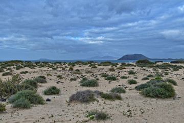landscape from the Spanish Canary Island Fuerteventura with dunes and the ocean