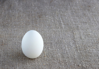 zero waste eco-friendly chicken egg on burlap