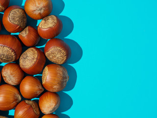Fresh hazelnuts on blue background.