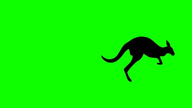 Jumping kangaroo, animation on the green background