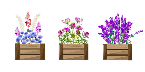 Wooden box with different types of flowers