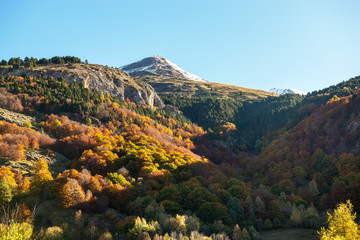 color of autumn at mountain (french Pyrenees)