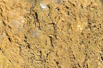 Texture ground