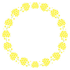 菜の花のベクター背景イラスト