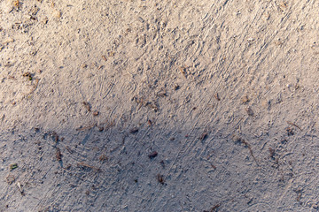 Texture concrete