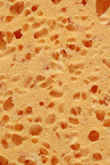 sponge structure background texture