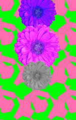 Flowers design wallpaper. Minimal geometry and flowers creative collage art