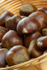fresh sweet chestnut fruits in a basket closeup
