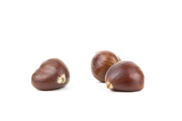 sweet chestnut fruits isolated on white closeup
