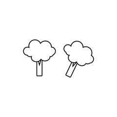 pieces of broccoli on white background