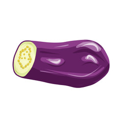 Half of eggplant vegetable isolated on white background. Vecrot illustration in cartoon realistic style