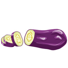 Eggplant vegetable isolated on white background. Vecrot illustration in cartoon realistic style.