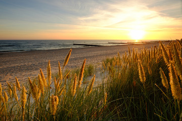 Morze Bałtyckie,wydmy na piaszczystej plaży w Kołobrzegu o wschodzie słońca. - obrazy, fototapety, plakaty
