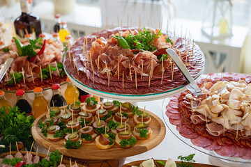 Delicious snack, appetizer on party or picnic time. Beautifully decorated catering banquet table...