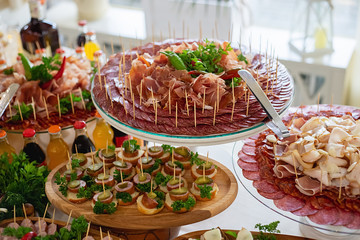 Delicious snack, appetizer on party or picnic time. Beautifully decorated catering banquet table with cold snacks, salads, cold meats, sliced sausages. Variety of tasty delicious snacks.