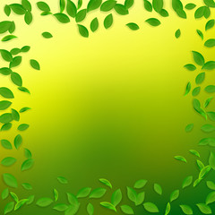 Falling green leaves. Fresh tea chaotic leaves fly