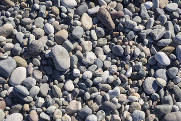 Stony beach - round, grey - good for backgroung or texture.
