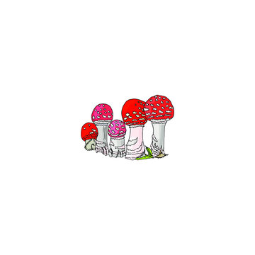 recommend clip art: Lovely family of bright fly agaric with forest blades of grass. Amanita. Poisonous grebes are drawn in black outline by hands on a white background. Vector illustration of mushrooms.