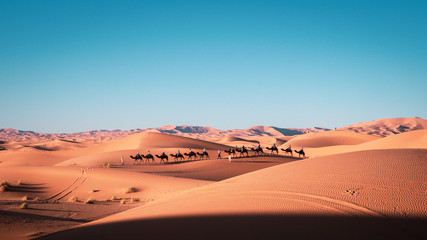 Dunes in the Moroccan desert - obrazy, fototapety, plakaty