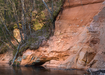 Sandstone rock wall at river with forest, rock reflection in river water,  Gauja national park, Latvia. River Brasla - 332881942