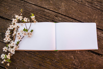 an open notebook with white blank pages lies on old wooden boards, on one of the pages are blooming tree twigs