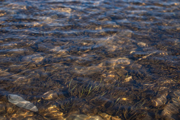 Close-up of river water with pebbles and bubbles
