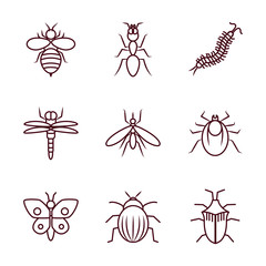 Fototapeta na wymiar bee and insect concept icon set, line style