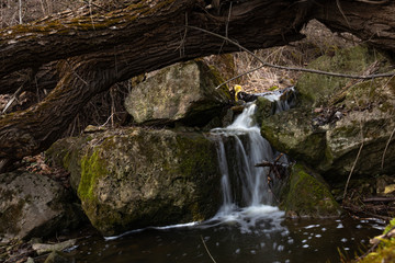A beautiful small waterfall in a thicket of forest on high hills among huge boulders covered with moss