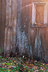 old building made of planks covered with old brown paint and moss