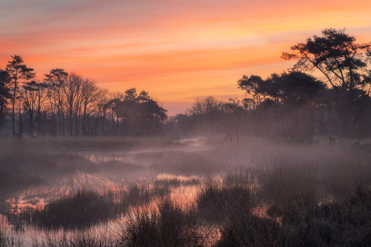 De Moeren is a small nature reserve near the town of Zundert in Brabant. It was a beautiful sunrise with beautiful colors and fog above the water.