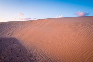 Fototapeta na wymiar Sand dune in th evening light Parque Natural de Corralejo Corralejo Fuerteventura Canary Islands Spain