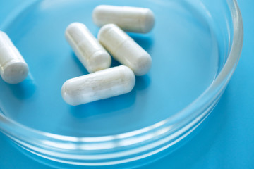 Probiotic supplement in capsules in glass petri dish on blue background, close-up. Concept immune...
