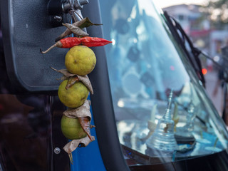 Charm, amulet, limes and chili.