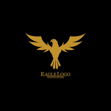 Golden Eagle with Black Background, Vector, Illustration