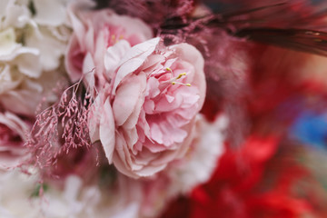 Delicate pink flowers