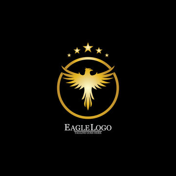 1 2 Best Phoenix Circle Logo Images Stock Photos Vectors Adobe Stock 1 2 Best Phoenix Circle Logo Images Stock Photos Vectors Adobe Stock