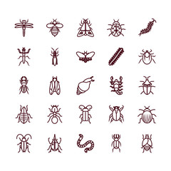 beetles and insects icon set, line style