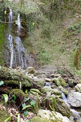 Naklejka premium waterfall in spring in a gorge surrounded by young foliage