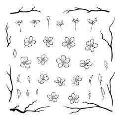 Set of cherry blossom flowers leaves and black branches in outline style for greeting cards, invitations
