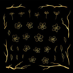 Luxury set of cherry blossom flowers leaves and branches in gold foil texture
