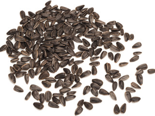 fried black sunflower seeds on white background, close-up