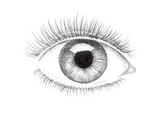 Illustration of human eye drawn with pencil. One eye closeup on white background.