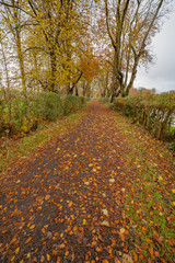 Autumn at Currells Avenue, Ballymena, County Antrim