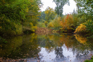 Fototapeta na wymiar fall colors in the park with reflection in the lake