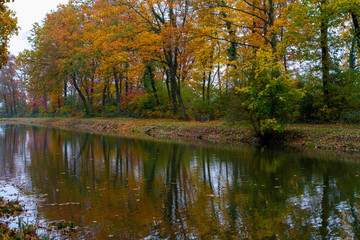 many shades of fall colors by the lake in the park