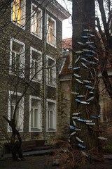 Tallinn, Estonia December 7, 2019 Winter season medieval streets and old town architecture of Estonian capital